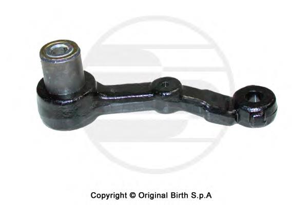 50131 Birth