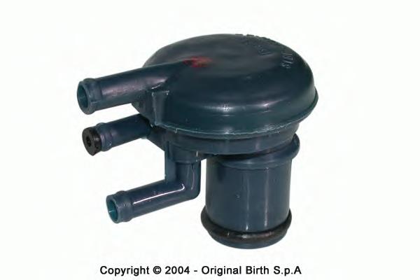 8268 Birth