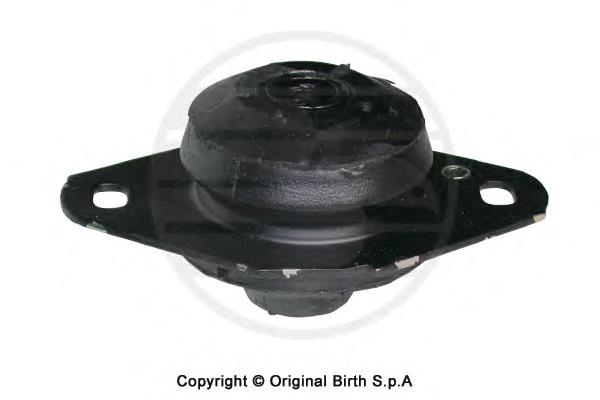 5958 Birth