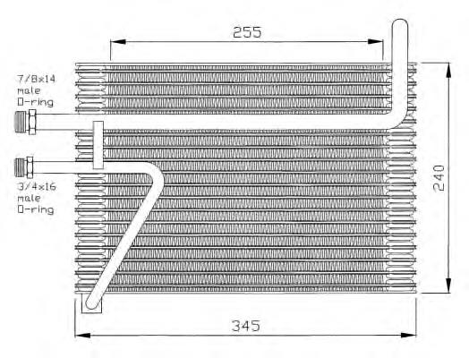 36042 NRF