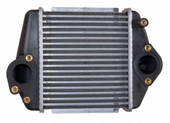 Enfriador de aire de admisión NRF 30360