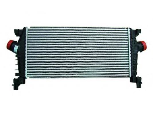 Enfriador de aire de admisión NRF 30318