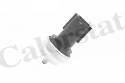 WS3019 Vernet