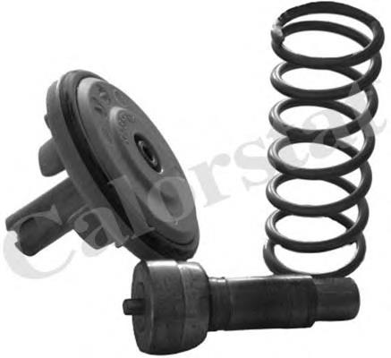 TH696587 Vernet Termostato de agua