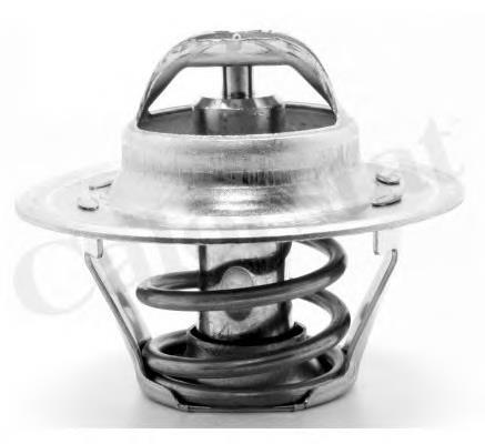 Termostato TH627687J Vernet