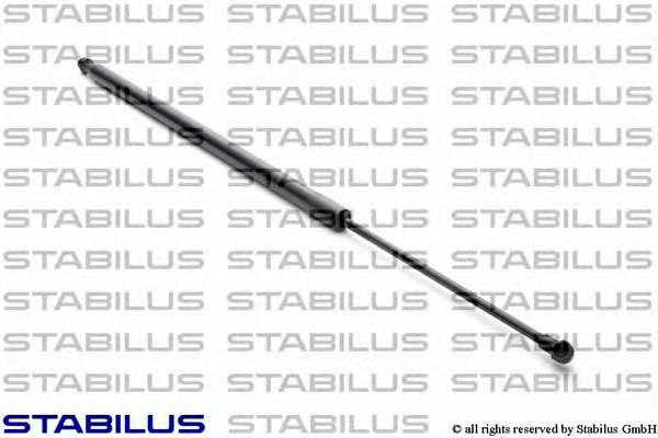 Amortiguador maletero ZS01073 Japan Parts