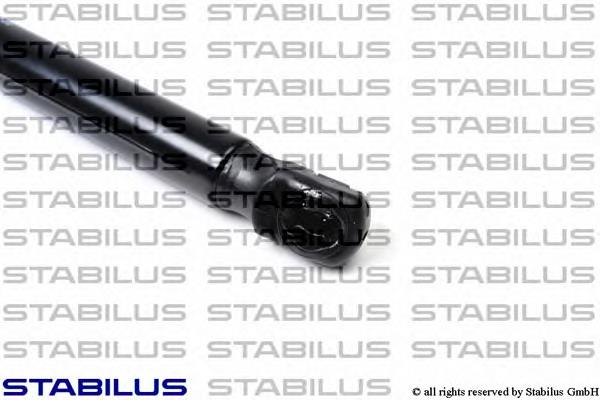 Amortiguador de vidrio de portón trasero (puerta trasera 3/5) 014169 Stabilus