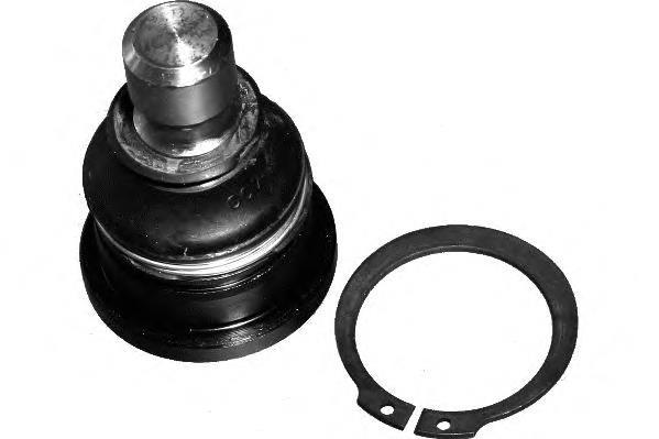 Rótula inferior de suspensión Moog NIBJ4954
