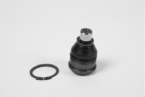Rótula inferior de suspensión Moog FDBJ8090 precio, desde 16,64 EUR