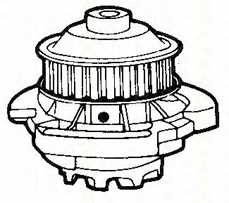 860029142 Triscan bomba de agua