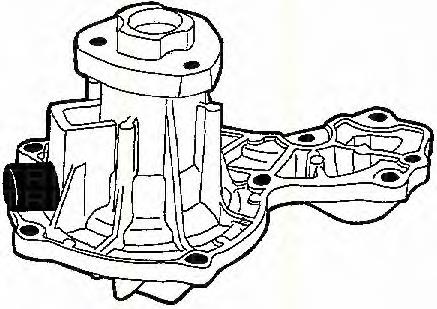 860029812 Triscan bomba de agua