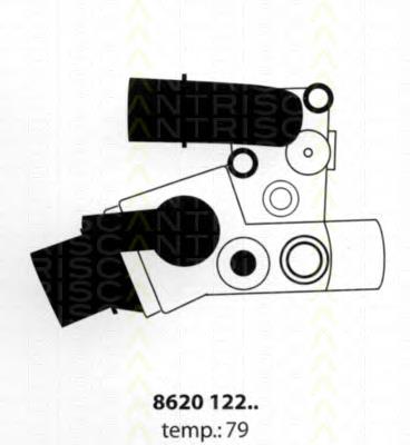 Comprar 1307270080 Fiat/Alfa/Lancia Termostato