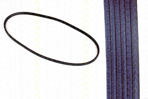 8640100950 Triscan Correa poly v