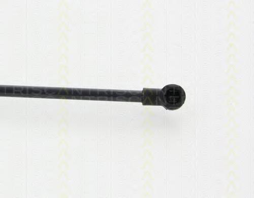 Muelle neumatico maletero Triscan 871011294