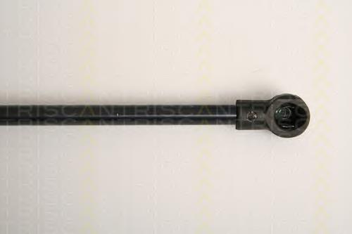 Muelle neumatico maletero Triscan 871011231