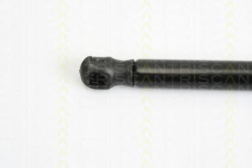 Muelle neumático de capó de motor Fiat/Alfa/Lancia 0225090250N