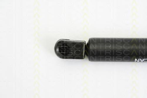 Muelle neumatico maletero Peugeot/Citroen 1498071080