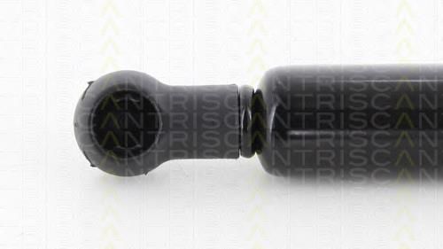 Muelle neumatico maletero Japan Parts ZS06020