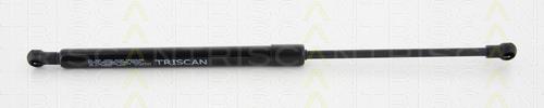 Amortiguador maletero 319792 Stabilus