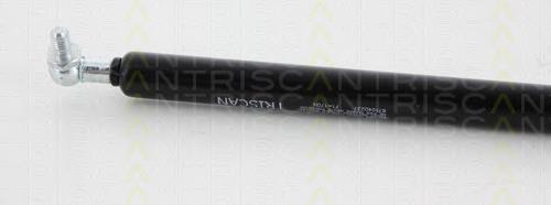 Comprar 871040237 Triscan Amortiguador de puerta trasera