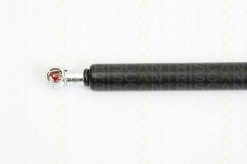 Amortiguador de maletero VAG 8J8827552A precio, desde 11,18 EUR