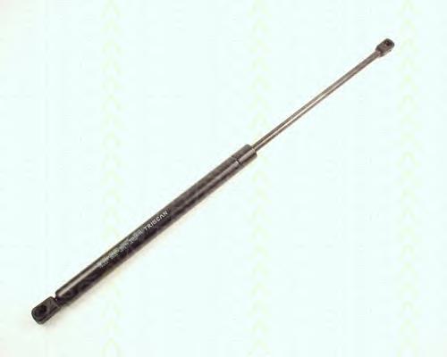 Muelle neumatico maletero Triscan 871016222