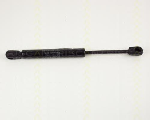 Muelle neumatico maletero Ford 6844981
