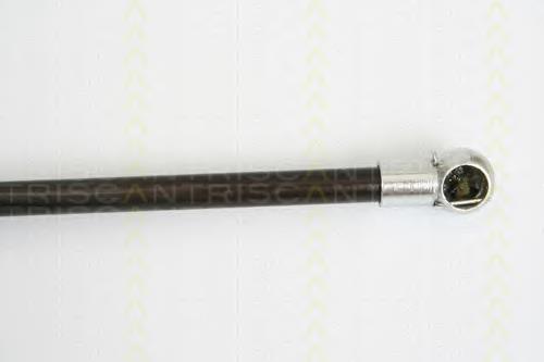 Muelle neumatico maletero Triscan 871016248