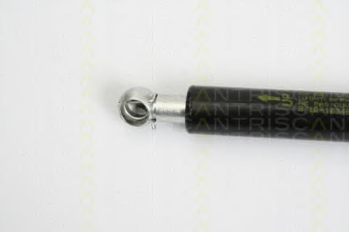Comprar 871016248 Triscan Amortiguador de puerta trasera