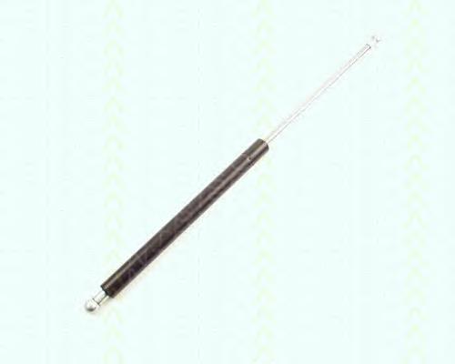 Amortiguador de maletero Triscan 871016216 precio, desde 11,96 EUR