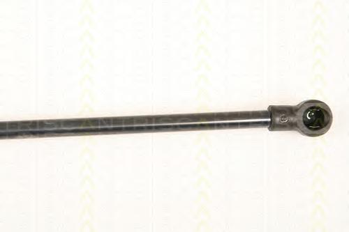 Muelle neumatico maletero Triscan 871025245