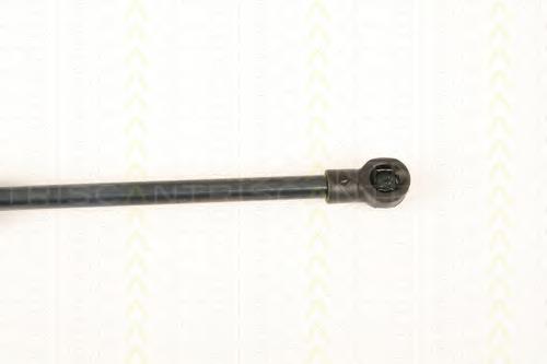 Muelle neumatico maletero Triscan 871025249