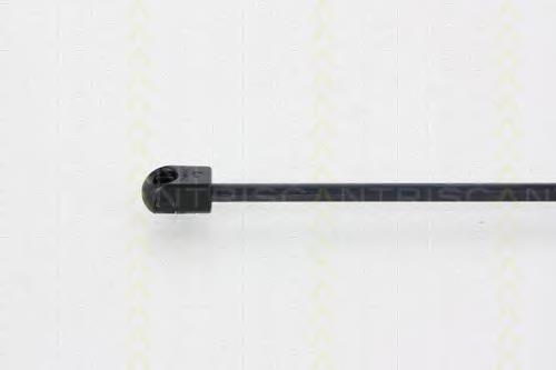 Muelle neumatico maletero Triscan 871025257