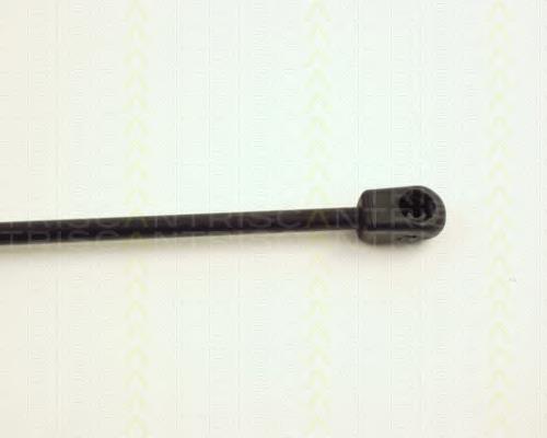 871024201 Triscan Amortiguador de porton