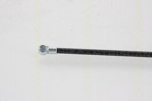 Amortiguador de maletero Triscan 871025221 precio, desde 16,40 EUR