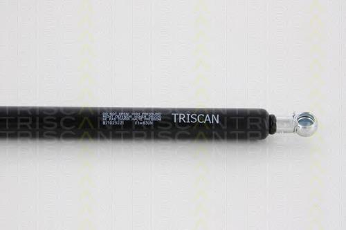Muelle neumatico maletero Triscan 871025221