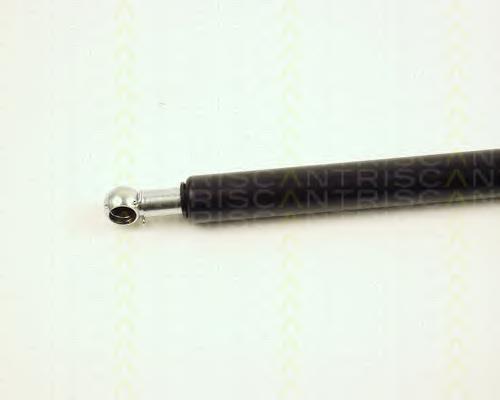 Muelle neumatico maletero Lesjofors 8172914