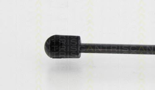 Muelle neumatico maletero Triscan 871024240
