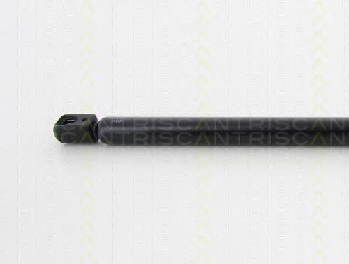 Amortiguador maletero 176413 Opel