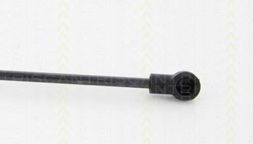 Comprar 176387 Opel Amortiguador de puerta trasera