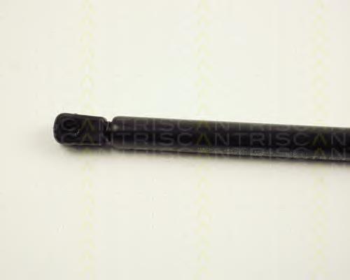 Amortiguador maletero A2285 Casals