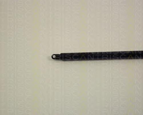Muelle neumático, tapa delantera Audi 100 C2 sedán (43) (1976 - 1982) precio, desde 16,27 EUR