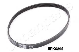 DV5PK0800 Japan Parts Correa poly v