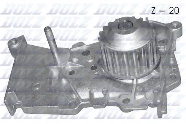R216 Dolz