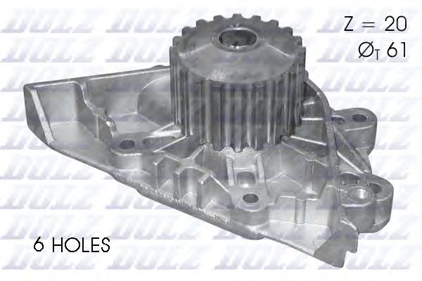 Comprar C124 Dolz Bomba de agua para motor