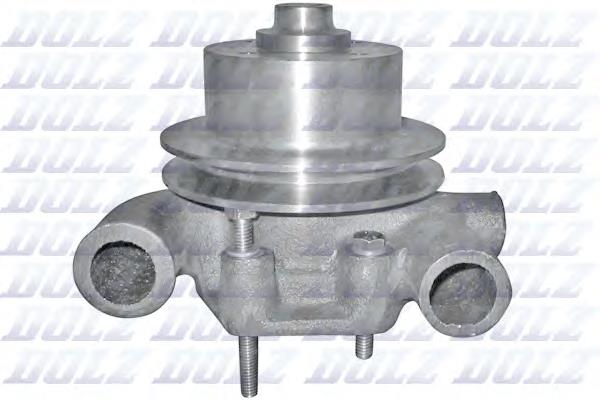 P319 Dolz