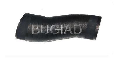 81629 Bugiad tubo intercooler superior