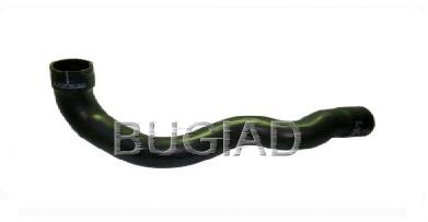 81621 Bugiad tubo intercooler superior