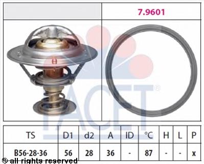 78828 Facet Termostato de agua