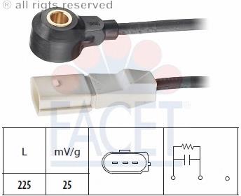 Sensor de detonaciones 93037 Facet